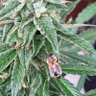 Фото профиля Zuàgroàsdà Bayuware