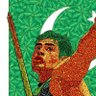 Asif Hayat's profile picture