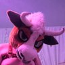 Profilbild von Montana_AD🔜TFF