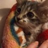 Sleepyboi198 profil fotoğrafı
