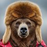 Ber Lubavitch's profile picture