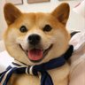 andfg 的头像