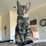 Oliver's profile picture
