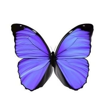pq__zero's profile picture
