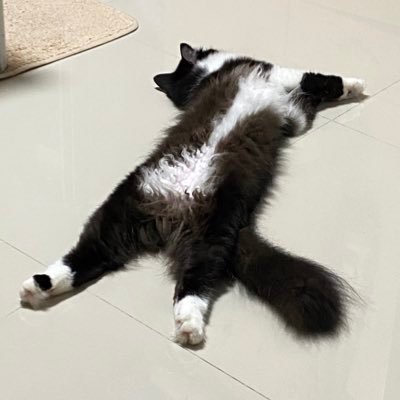 _zezeme's profile picture