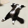 _Zenan profil fotoğrafı
