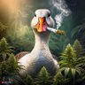 Johan Da Goose's profile picture