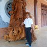 Hy Đỗ's profile picture