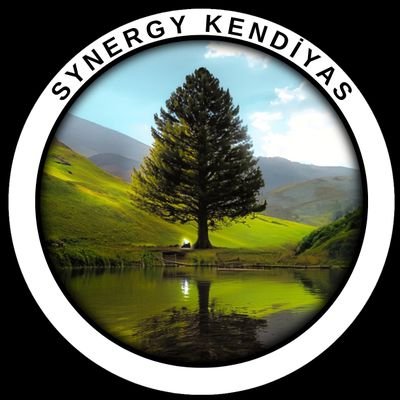 Synergy Kendiyas's profile picture