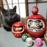はるまどるでぃ😻's profile picture