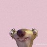 Profilbild von shrimp