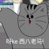 Profilbild von 铛铛猫땅땅이❂☭⃠ (禽兽朋友们)(支持윤석열)