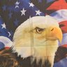 Virginia Conservative's profile picture