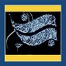 النسر الذهبي's profile picture