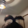 ふったっばー 的头像