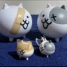 タマタマホーム 的头像