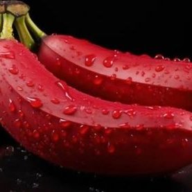 Redbanana743883's profile picture