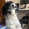 brukuns's profile picture