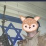 Noam Pollak's profile picture