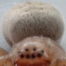 Profilbild von Spidderman1