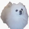 borcoli's profile picture