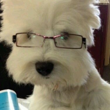 dori's profile picture