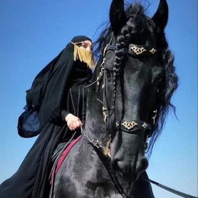 ahmdldbn's profile picture