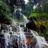 Фото профиля FmfKmaroGrafo