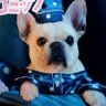 イケチン 的头像