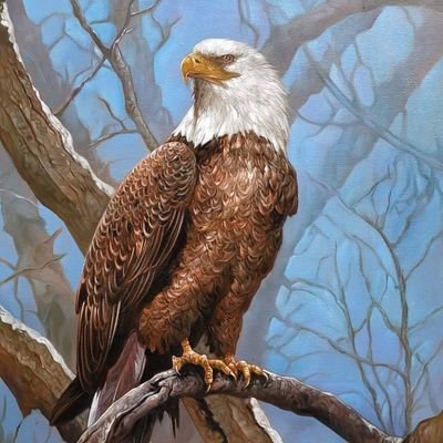tegu40056's profile picture