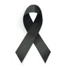 paulo's profile picture
