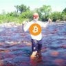 CryptoWild's profile picture