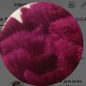 Esma Sylvc 的头像