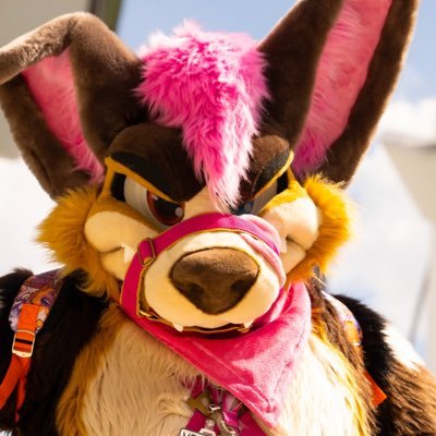 KamiraaPawss's profile picture