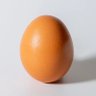 Un huevo profil fotoğrafı