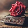 Shivaji Raut 的头像