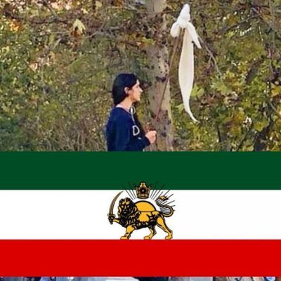 _4Iran's profile picture