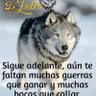Profilbild von Lobo blanco