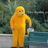 WhyElmo 的头像