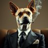 CunningLinguist profil fotoğrafı