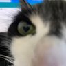 luiza. profil fotoğrafı