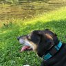 Delia Rountree's profile picture