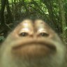 CreisiLoko profil fotoğrafı