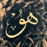 mehtap's profile picture
