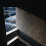 武's profile picture