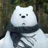 Bear tom profil fotoğrafı