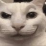 Фото профиля smug car