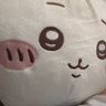 Фото профиля 猫踏んじゃっ太丸