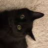 Lola profil fotoğrafı