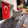 M. F.'s profile picture